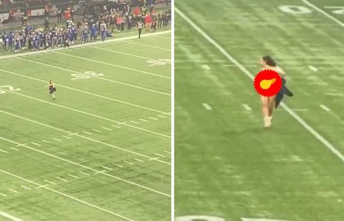 Gray Cup: a woman got completely naked on the field during the game