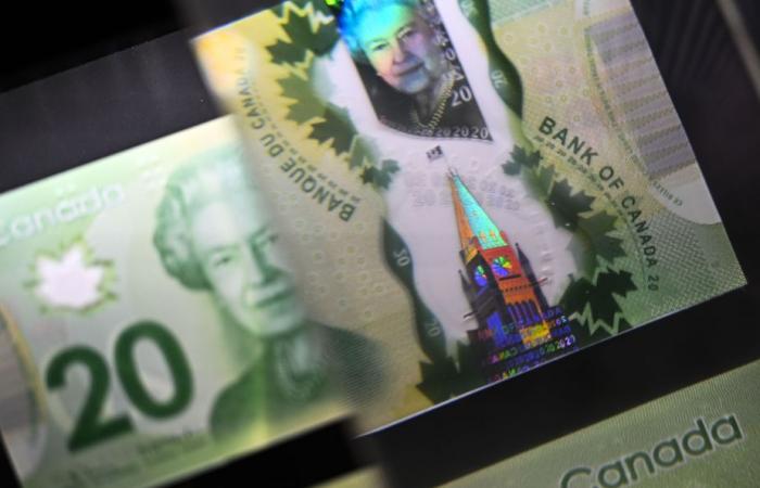 Canadian dollar weakness expected to persist until 2025, says expert