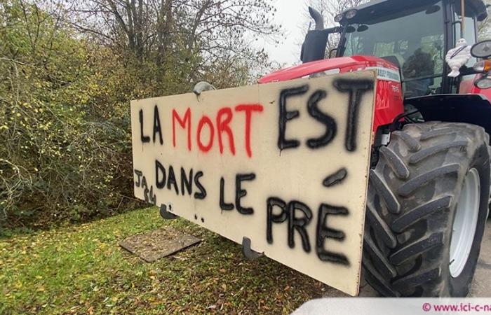 Mercosur: in Nancy, farmers are mobilizing this Tuesday in front of the prefecture of Meurthe-et-Moselle