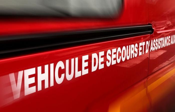 A resident of Cusset, in Allier, killed in a fire at his home