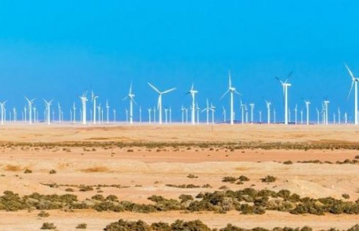 Voltalia and TAQA Arabia on the repowering of the Egyptian wind site of Zafarana