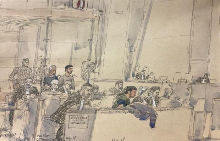 12 p.m. news – “Four years I have been carrying this story”: a schoolboy who named Samuel Paty as a terrorist testifies