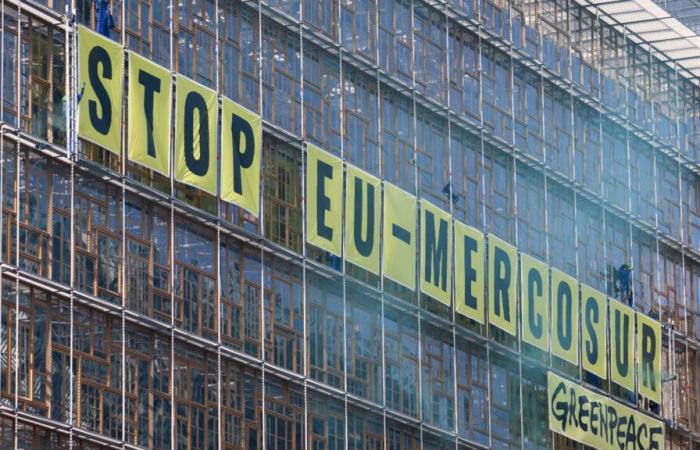 Why France is struggling to convince other European countries to oppose Mercosur