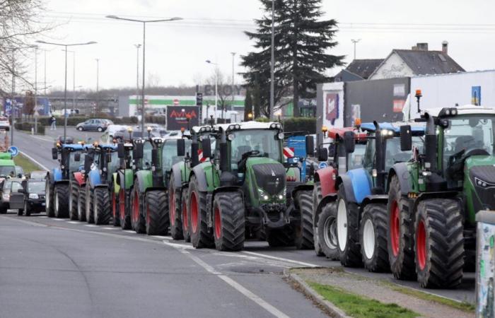 DIRECT. Farmers mobilized this Monday, disruptions expected