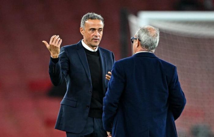 PSG: Luis Campos will offer a “magic player” to Luis Enrique?