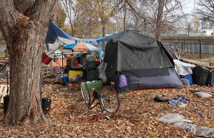 Roaming | Reprieve for the Notre-Dame Street encampment