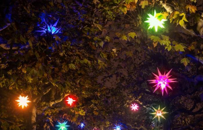 4th edition of Lumières en Seine at Domaine de Saint-Cloud (92) until January 12, 2025