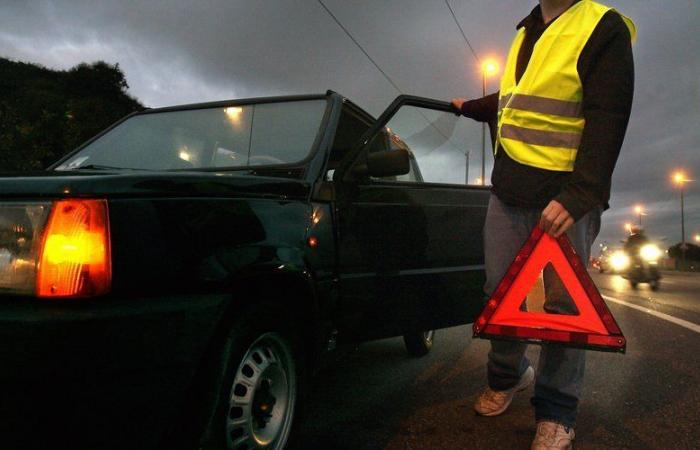 “I call 15, I take gloves and a towel”: the car breaks down on the way to the maternity ward, she gives birth in a garden