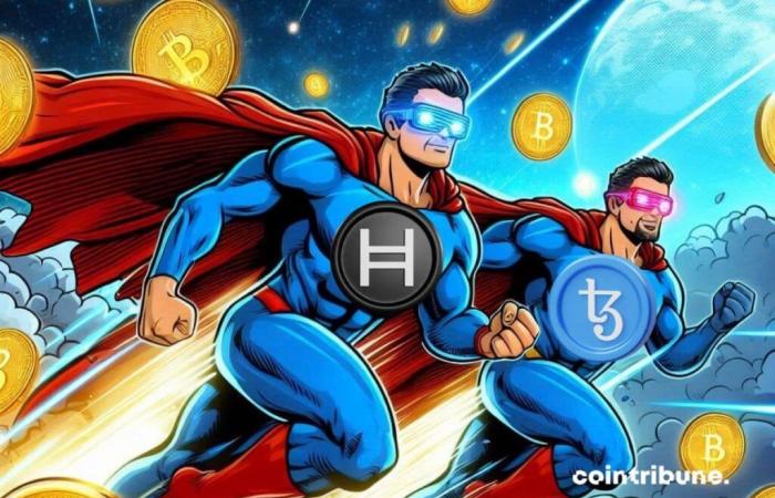 Hedera and Tezos reach new heights!