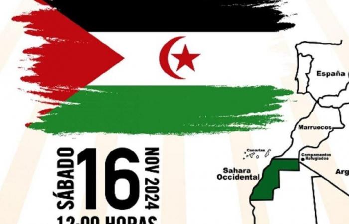 massive support for the independence of Western Sahara