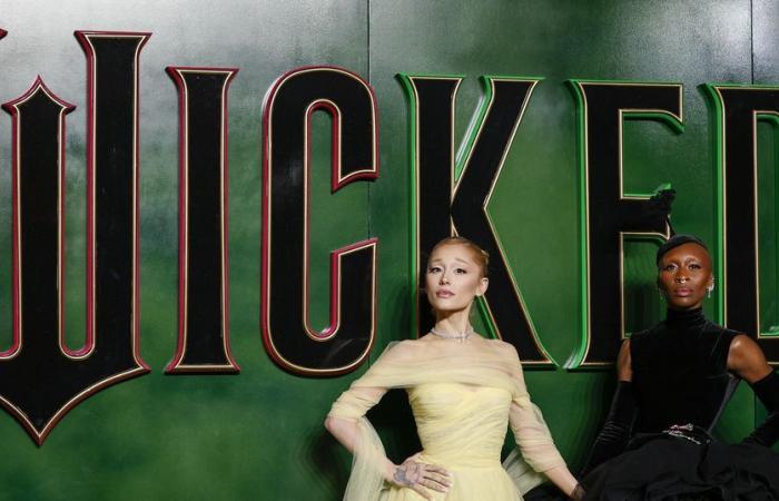 Cinema: “Wicked” will be screened in South Africa