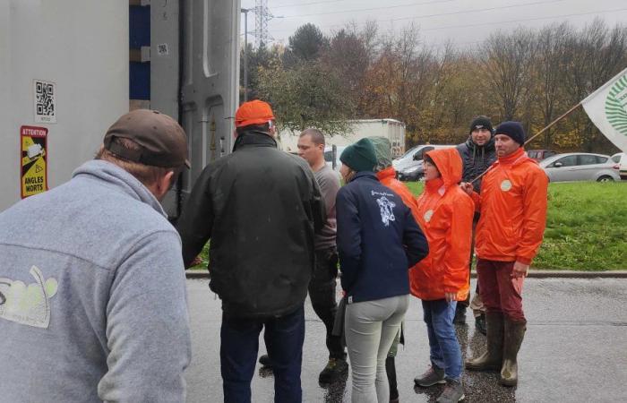 Oise. Farmers screen trucks on highways and check the origin of agri-food goods