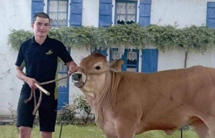 Near Parthenay. At 16, he tried his luck in the Mister Agricole election