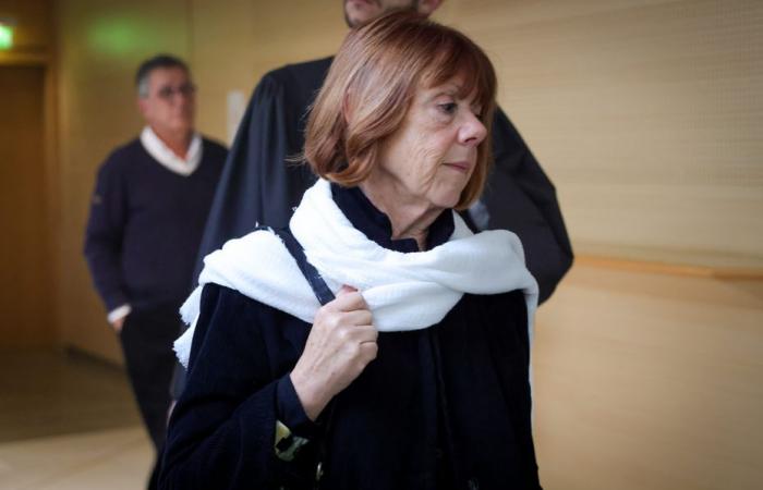 “this is the trial of cowardice”, the conclusions of Gisèle Pelicot before the pleadings