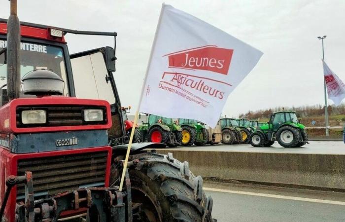 Anger of farmers: bread baguettes without origin discovered in a truck, according to the FDSEA of Oise