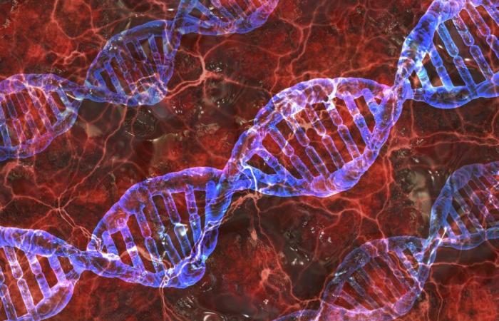 Recent discovery could lead to curative gene therapy for muscular dystrophies (including Duchenne muscular dystrophy)