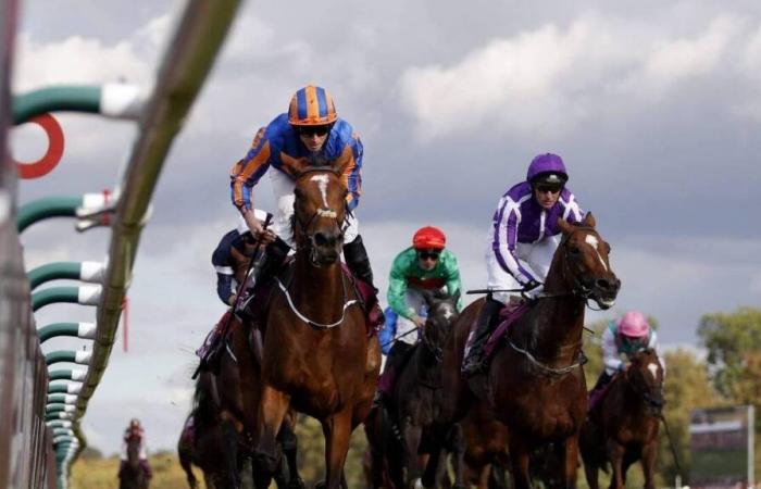 Horse riding. Three horses die on the same day of racing in England