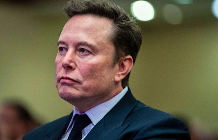 Trump President: Elon Musk involved in 'huge argument' at Mar-a-Lago