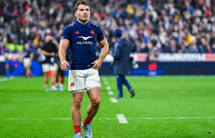 XV of France: Argentina challenges Antoine Dupont before the clash!