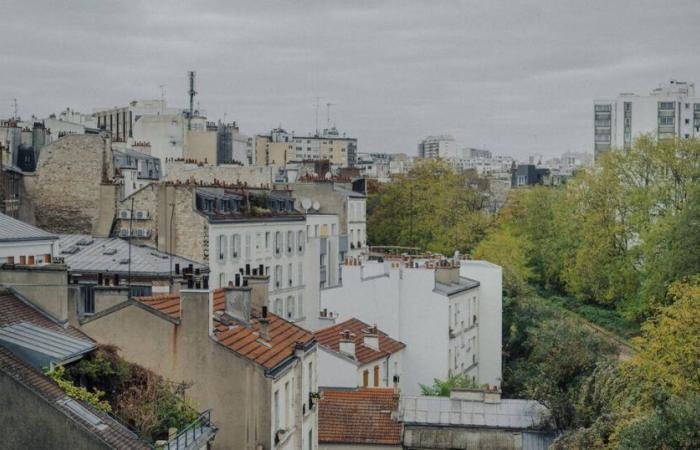 In Paris, a new local urban plan to “go from a city with gardens to a garden city” – Libération