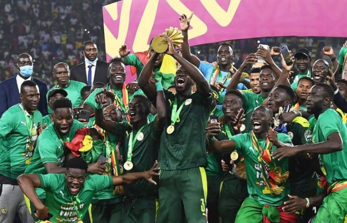 Here are the 24 countries qualified for the 2025 Africa Cup of Nations