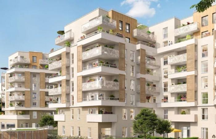 In Seine-Saint-Denis, this “cut-price” studio with cellar, parking and balcony is up for grabs