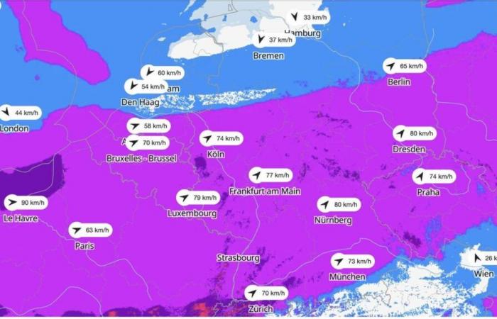 Severe weather warning from the DWD: Map shows where the storms are strongest today