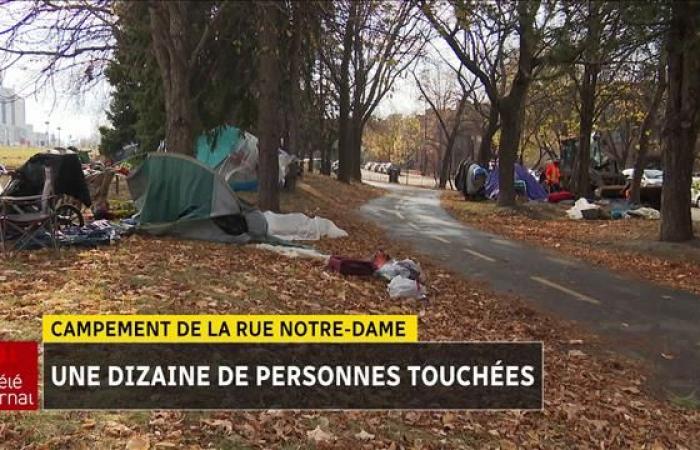 Homelessness: dismantling of the Notre-Dame Street encampment on Thursday