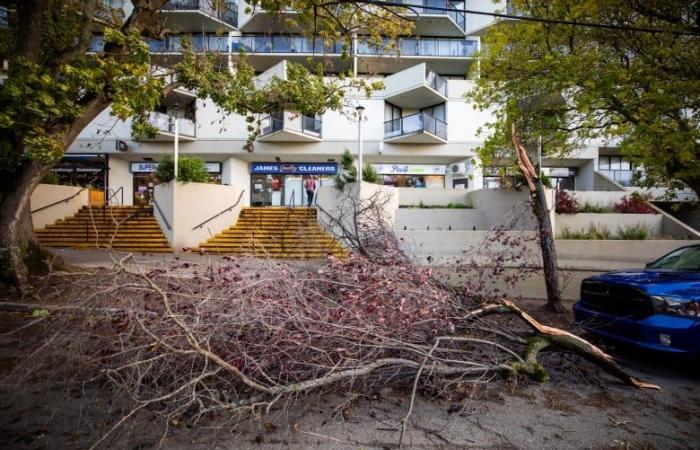 Power outages likely as ‘bomb cyclone’ forms off B.C. coast, meteorologist says