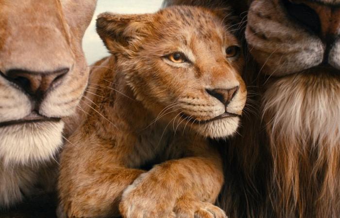 Final trailer for ‘Mufasa: The Lion King’ features epic adventure: Watch here