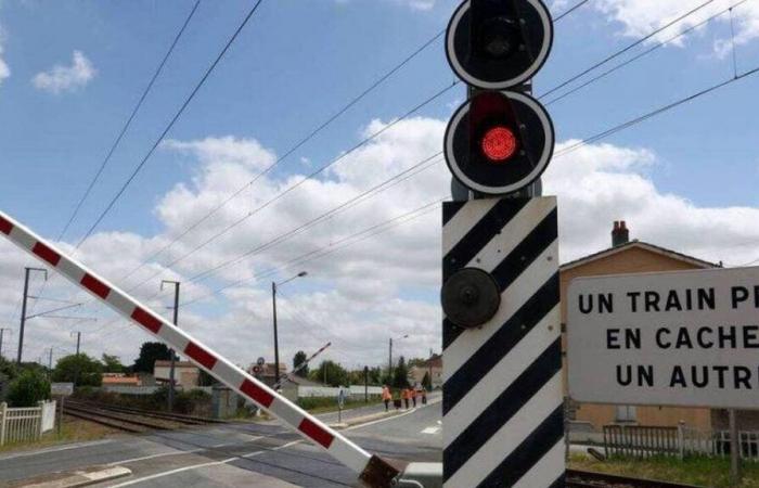 North. Man fatally hit by train on condemned level crossing