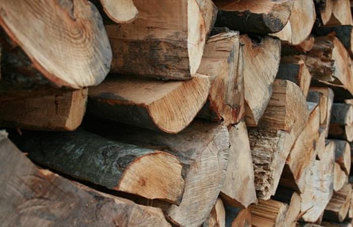 Aqali: High prices of firewood in the Middle Atlas regions worsen the suffering of needy families