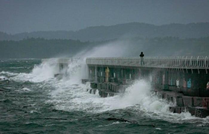 Power outages likely as ‘bomb cyclone’ forms off B.C. coast, meteorologist says