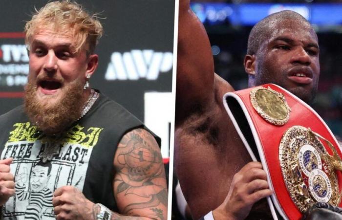 after Mike Tyson, YouTuber Jake Paul challenged by IBF heavyweight world champion Daniel Dubois