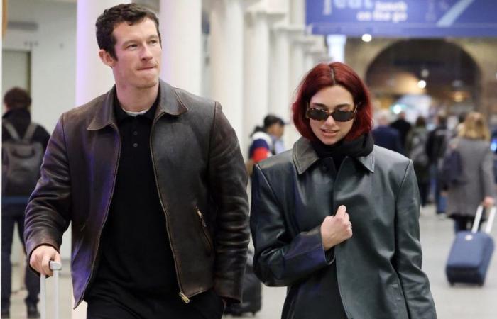 Dua Lipa Gives Rare Glimpse of Callum Turner Romance