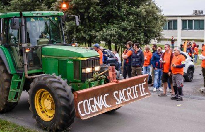 Strike at Hennessy, employees fear relocation of cognac