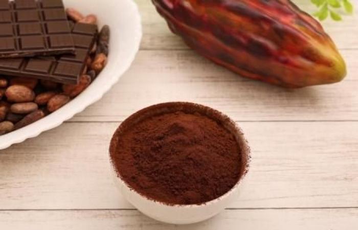 Cocoa could protect you from the negative effects of fatty foods when stressed