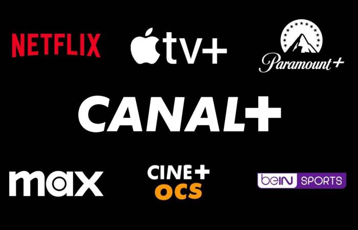 Last days to take advantage of the Canal+ offer (Netflix, Apple TV+, Paramount+, Max,…)