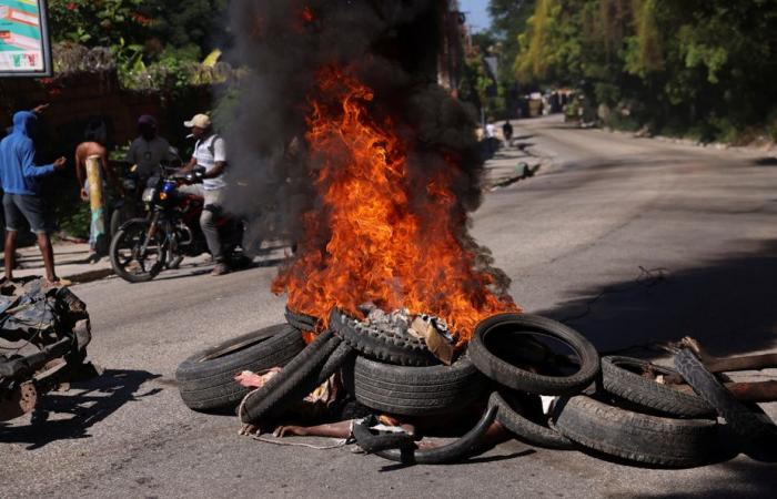 Haiti | In Port-au-Prince, police and residents kill 28 gang members