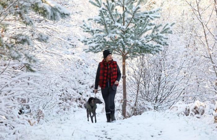 snow warning as ‘first taste of winter’ bites