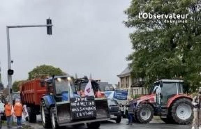 Angry farmers: disruptions expected on Tuesday November 19 north of Beauvais