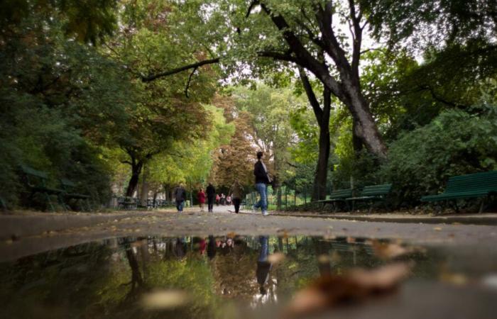 green spaces and cemeteries closed this Tuesday afternoon, strong gusts of wind expected