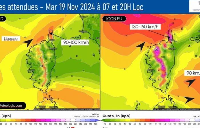 Gusts of 100 km/h expected, here’s where it will blow the hardest