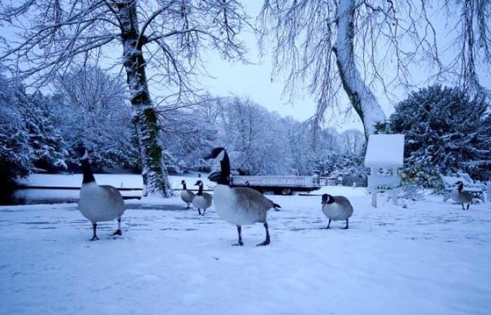 In Pictures: UK shivers as snowy weather sweeps in