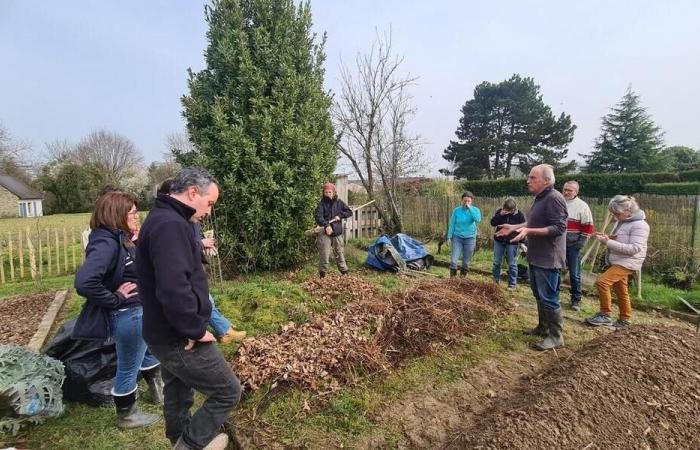 Internships to learn permaculture and electroculture techniques in Loire-Atlantique