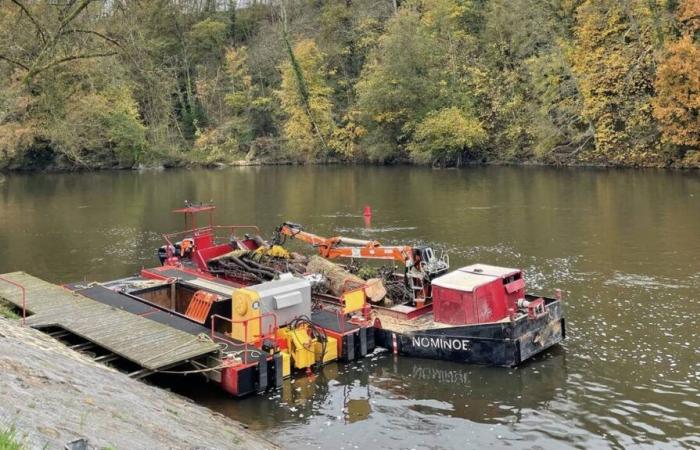 Why is a boat transporting pieces of tree to Mayenne?