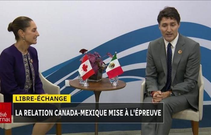 Free trade: Ottawa toughens its tone against Mexico