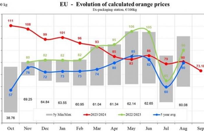 Orange prices in the EU fell by 9.24% in September