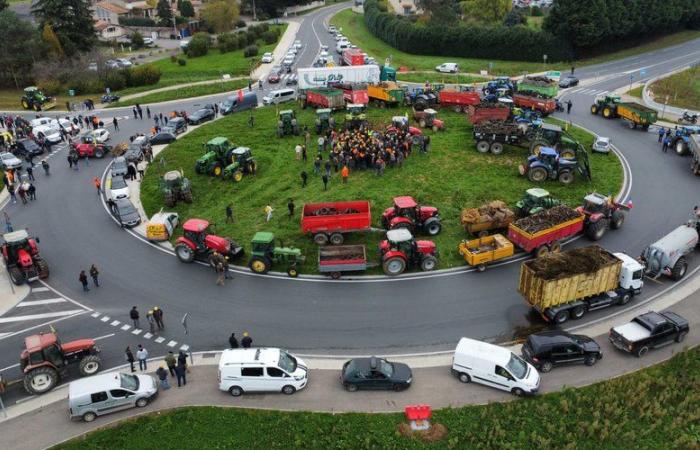 Anger of farmers: “There will be no slurry on the walls of the prefecture”, assure the co-presidents of CR 47 who are negotiating to access the city center of Agen