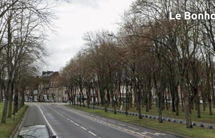 Rue Salvador Allende, which crosses the Hotoie park, will remain closed to traffic after the 6 months of experimentation